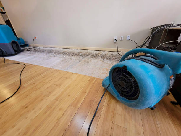 Professional Sewage Cleanup technician working in Cochise, AZ